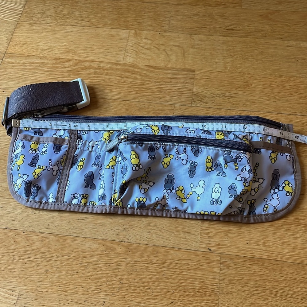 LeSportSac fanny pack